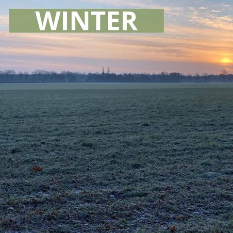 BUNGALOW 6 people - WINTER Panoramic Snipe Fishpond