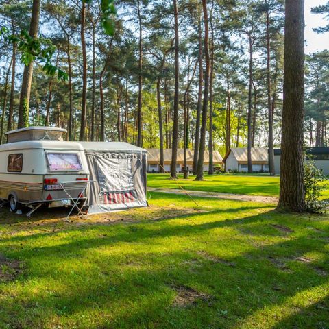 Pitch - Comfort