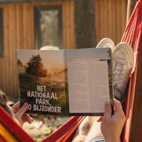 TENT 6 people - Tent Papendaal Lodge