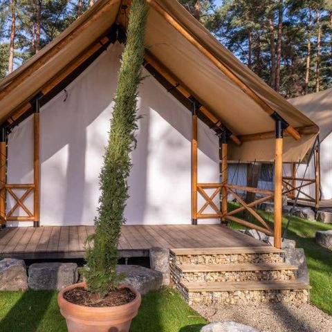 Tent 4 persons - Tent Papendaal Lodge