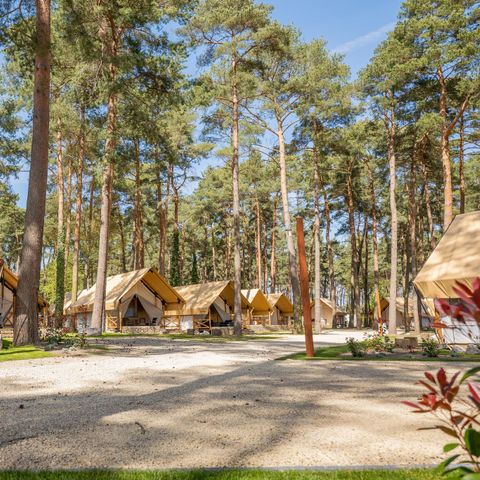TENT 4 people - Tent Papendaal Lodge