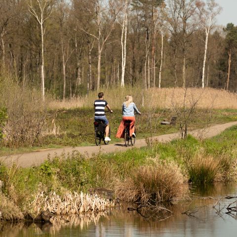 EuroParcs Hoge Kempen - Camping Belgian Limburg - Image N°5