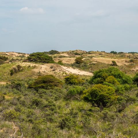 EuroParcs Noordwijkse Duinen - Camping Noordwijk - Image N°3