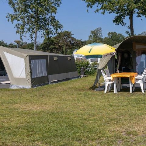 TENT 6 people - GlamLodge