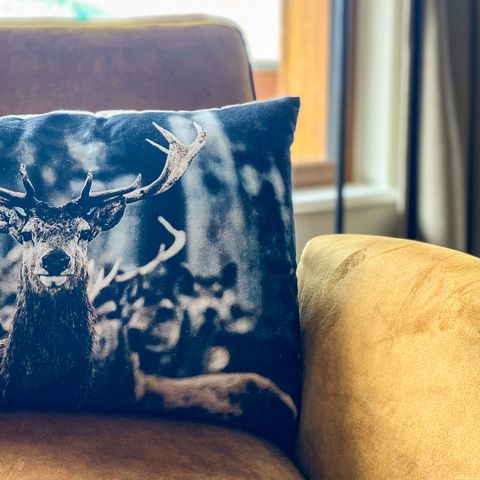 APARTMENT 3 people - A3 Luxury close to ski resort