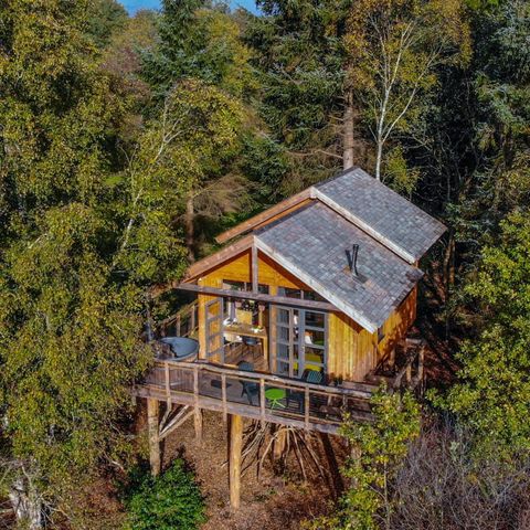 UNUSUAL ACCOMMODATION 6 people - Tree house XXL Hot tub