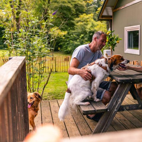 Canvas and wooden tent 6 persons - Glamping tent Dog Lodge