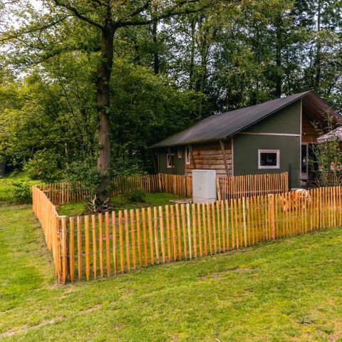 Canvas and wooden tent 6 persons - Glamping tent Dog Lodge