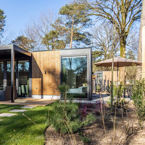 Bungalow 5 persons - Veluwe farmstead