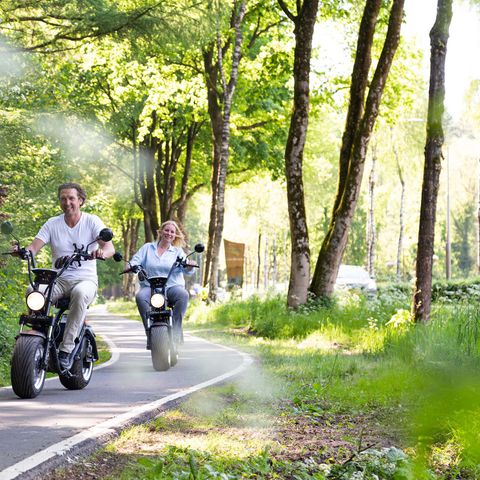 TopParken Resort Veluwe - Camping Barneveld - Image N°6
