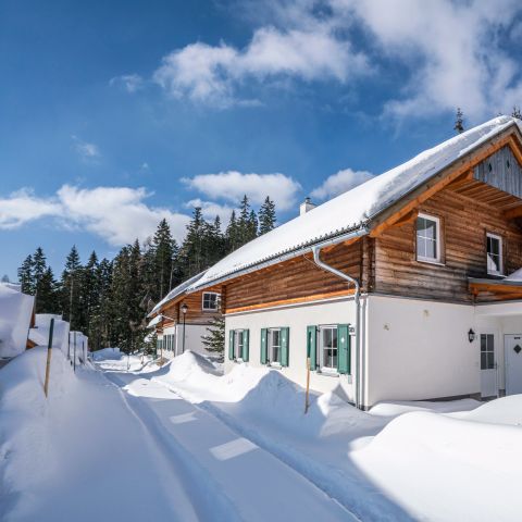 CHALET 8 people - 8L2