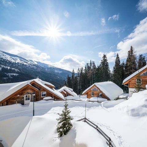 CHALET 8 people - 8L2