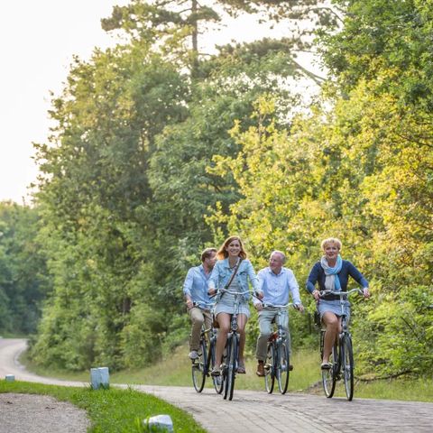 Landal Villapark Vogelmient - Camping Texel - Image N°6