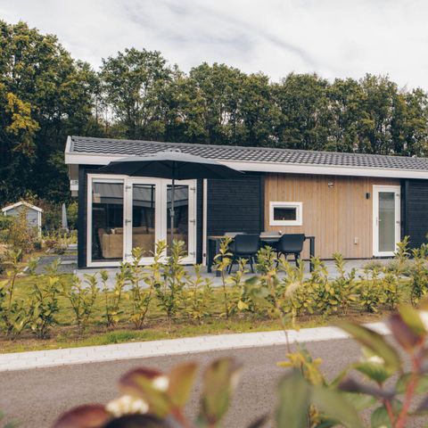Lodge 4 persons - Wood