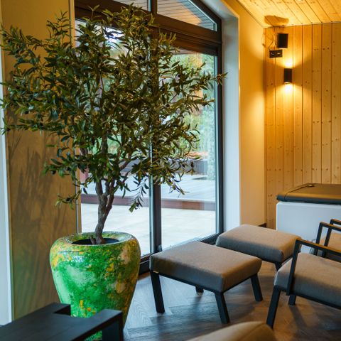 House 2 persons - Boszicht Wellness Suite with Hot Tub & Double Sauna