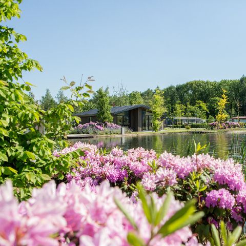 Vakantiepark Molenvelden - Camping Veldhoven - Image N°2