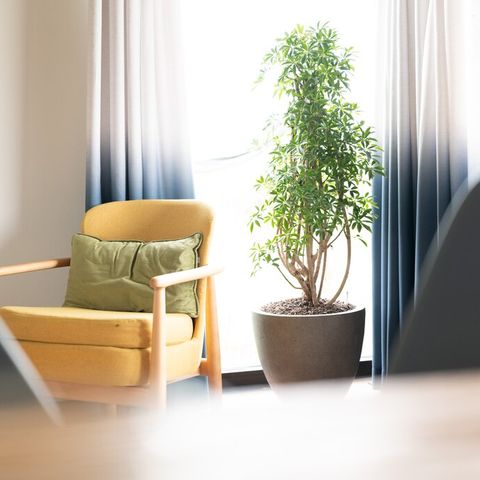 LODGE 4 people - High Tide Adventure