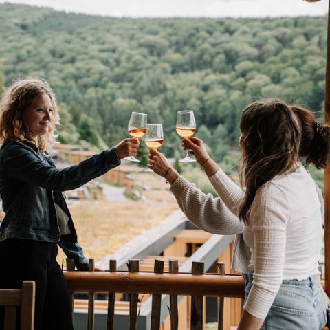 UNUSUAL ACCOMMODATION 4 people - Luxury tree house with slide