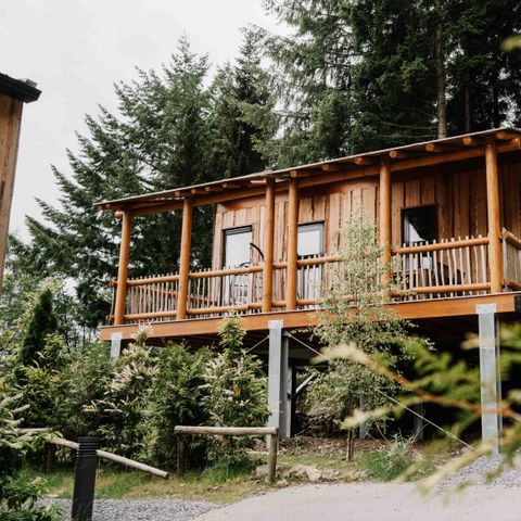 Accommodation 4 persons - Luxury tree house with slide