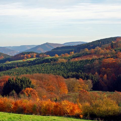 UplandParcs Sauerland - Camping North Rhine-Westphalia - Image N°5