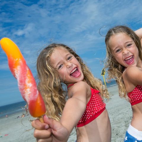 Roompot Camping De Zandput - Camping Veere - Image N°5