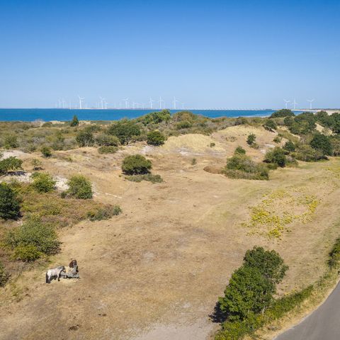 Landal Camping De Zandput - Veere - Image N°4