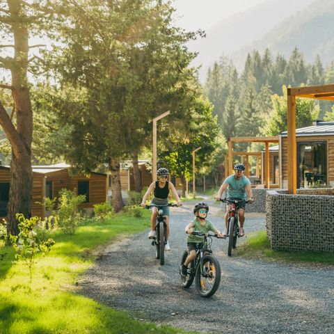 EuroParcs Pressegger See - Camping Carinthia - Image N°2