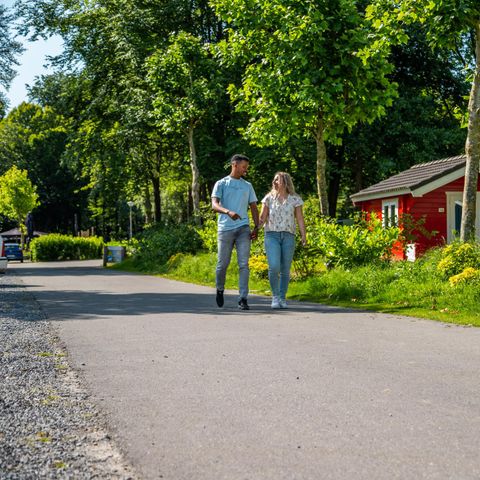 TENT 4 people - Glamping tent 4
