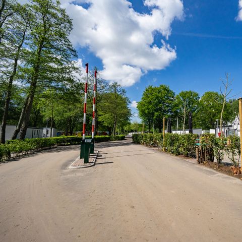EuroParcs Het Amsterdamse Bos - Camping Amsterdam - Image N°2