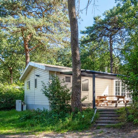 Chalet 4 persons - Luxury