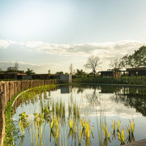 HOUSE 4 people - Amalia 4 with sauna