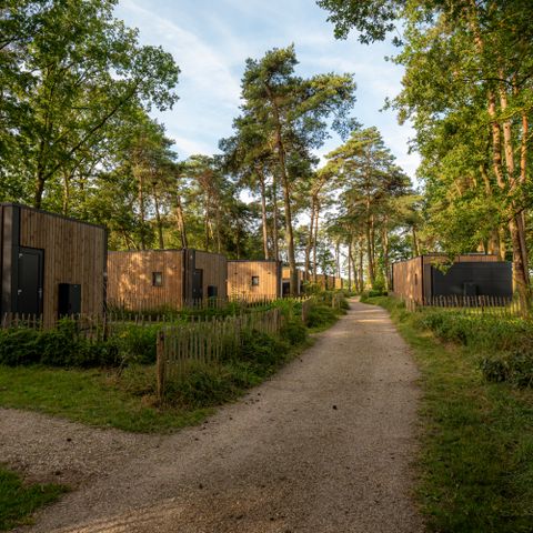 Lodge 2 persons - Forest Lodge Royal with sauna