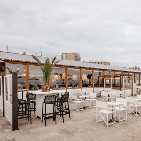 Landal Zandvoort - Zandvoort - Image N°6