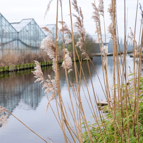 HOUSE 8 people - Villa