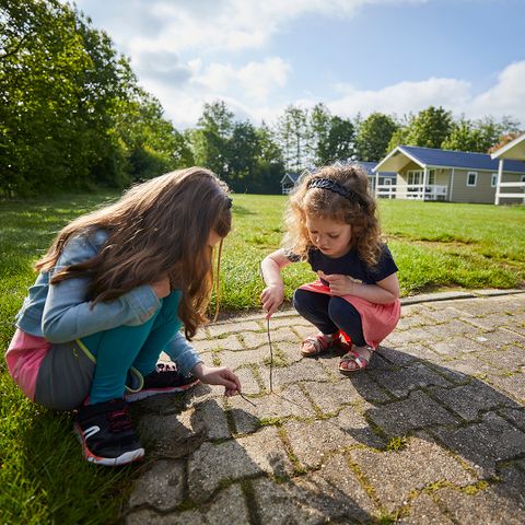 CHALET 4 people - flat