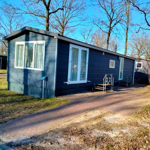 Chalet 4 persons - Drenthe