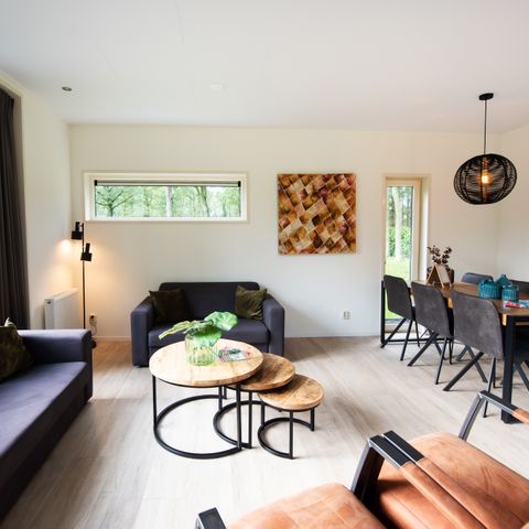 Lodge 6 persons - Drenthe: Pet-free