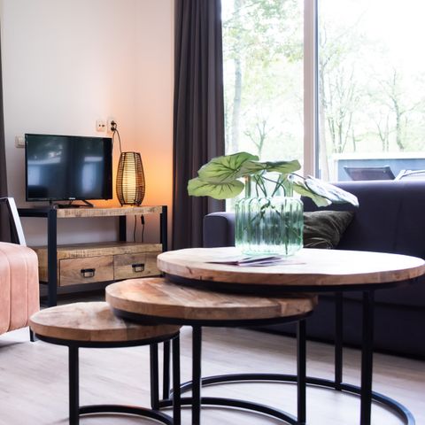 Lodge 6 persons - Drenthe: Pet-free