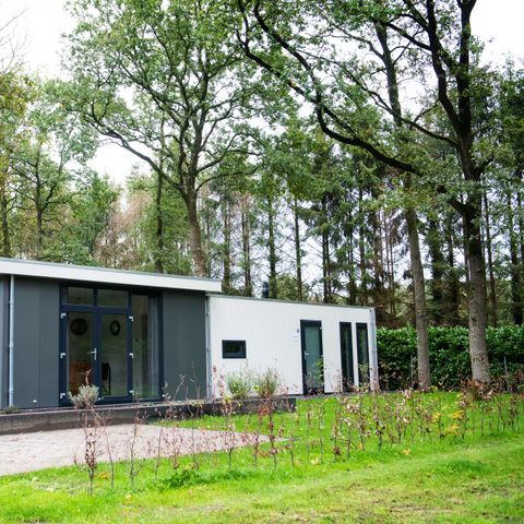 Lodge 6 persons - Drenthe: Pet-free
