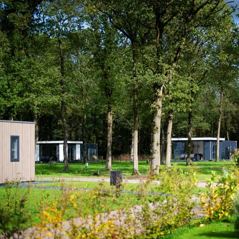 Park Drentheland - Westerveld - Image N°3