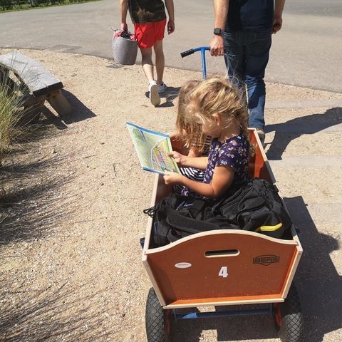 LODGE 6 people - Zonneweelde XL