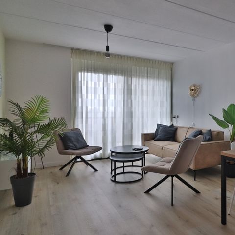 Apartment 4 persons - Zuiderzee State Deluxe Pet-friendly