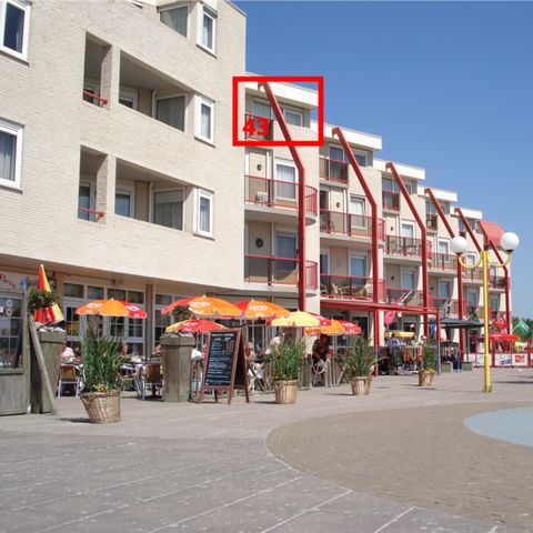 Apartment 4 persons - Zuiderzee State Deluxe Pet-friendly