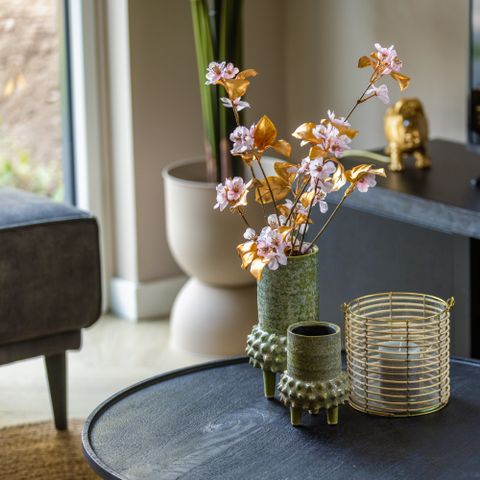 HOUSE 6 people - Ecovilla Boszicht Comfort