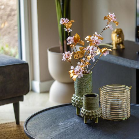 HOUSE 6 people - Ecovilla Waterzicht