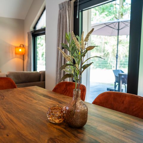 HOUSE 6 people - Ecovilla Waterzicht Luxe