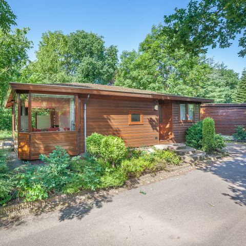 Lodge 4 persons - Veluwe