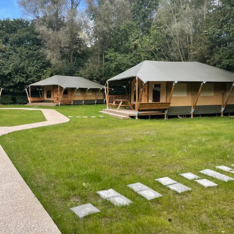 CANVAS AND WOOD TENT 6 people - Glamping Family