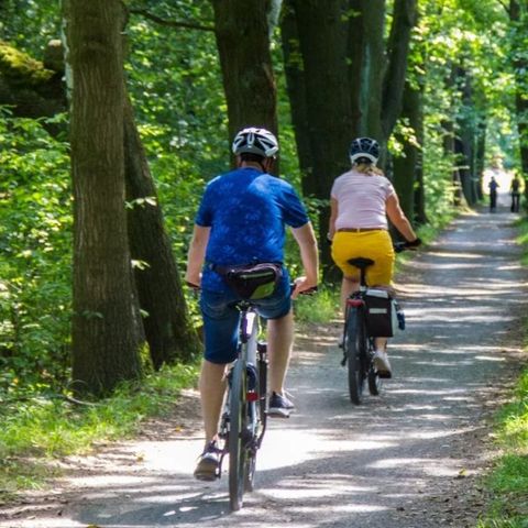 Urban Gardens Gent - East Flanders - Image N°3