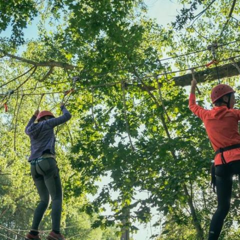 Urban Gardens Gent - East Flanders - Image N°4